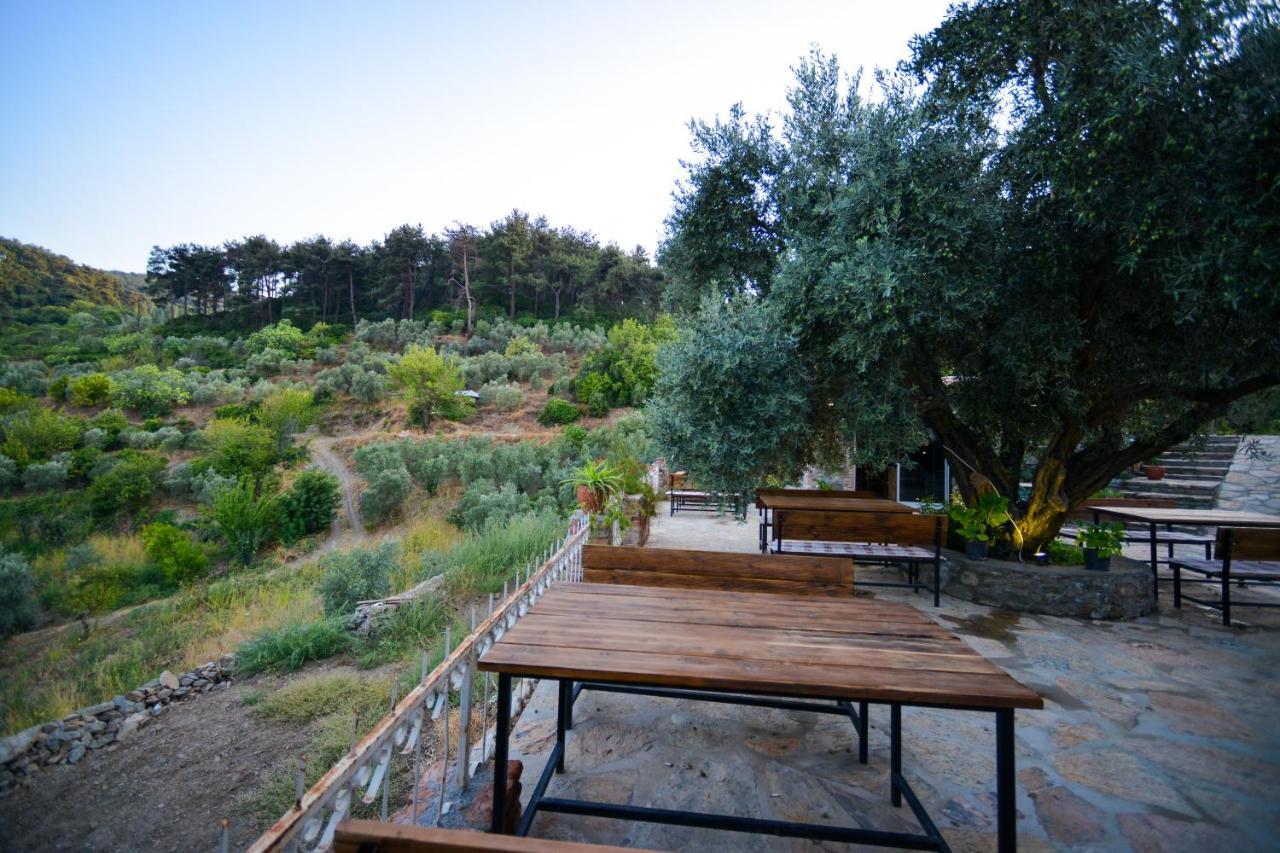 เคอร์คินกา เฮาส์ Hotel Selcuk ภายนอก รูปภาพ
